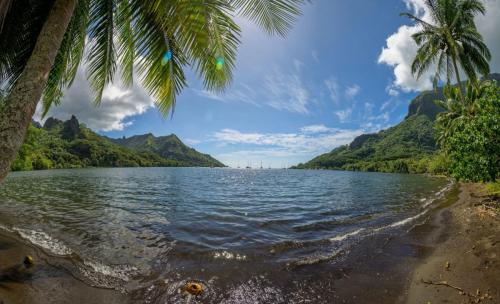 Moorea Opunohu Bay